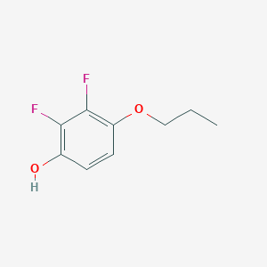 molecular formula C9H10F2O2 B3043624 2,3-二氟-4-丙氧基苯酚 CAS No. 887582-93-6