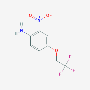 molecular formula C8H7F3N2O3 B3043992 2-Nitro-4-(2,2,2-trifluoroethoxy)aniline CAS No. 97963-72-9