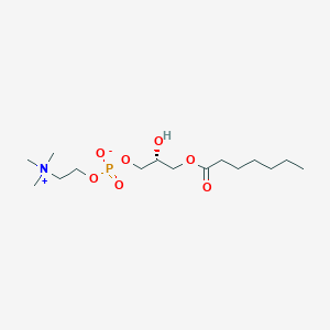 molecular formula C15H32NO7P B3044027 1-庚酰基-sn-甘油-3-磷酸胆碱 CAS No. 160118-49-0