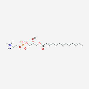 molecular formula C21H44NO7P B3044030 1-Tridecanoyl-sn-glycero-3-phosphocholine CAS No. 20559-17-5