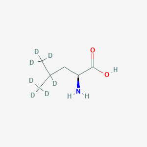 molecular formula C6H13NO2 B3044230 L-Leucine-D7 CAS No. 92751-17-2