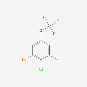 molecular formula C8H5BrClF3O B3044430 1-Bromo-2-chloro-3-methyl-5-(trifluoromethoxy)benzene CAS No. 1000577-04-7