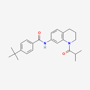 molecular formula C24H30N2O2 B3044780 Benzamide, 4-(1,1-dimethylethyl)-N-[1,2,3,4-tetrahydro-1-(2-methyl-1-oxopropyl)-7-quinolinyl]- CAS No. 1004253-21-7