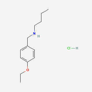 molecular formula C13H22ClNO B3045315 Butyl[(4-ethoxyphenyl)methyl]amine hydrochloride CAS No. 1048664-64-7