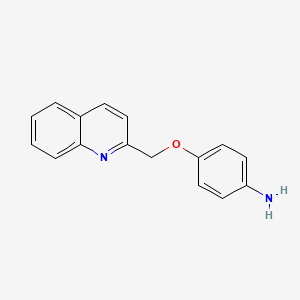 molecular formula C16H14N2O B3045348 4-(喹啉-2-基甲氧基)苯胺 CAS No. 105326-95-2
