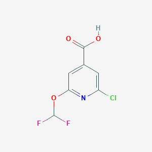 molecular formula C7H4ClF2NO3 B3046236 2-Chloro-6-(difluoromethoxy)pyridine-4-carboxylic acid CAS No. 1214332-84-9