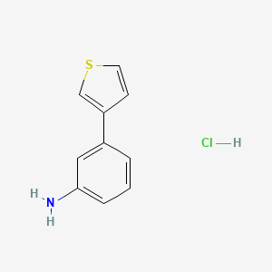 molecular formula C10H10ClNS B3046403 3-(Thiophen-3-yl)aniline hydrochloride CAS No. 1240529-35-4