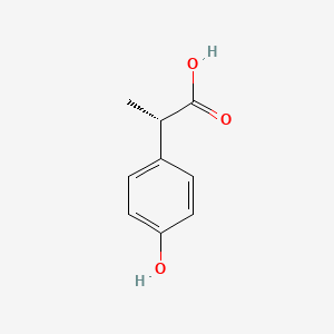 molecular formula C9H10O3 B3046446 2-(4-Hydroxyphenyl)propionic acid, (2S)- CAS No. 124578-19-4