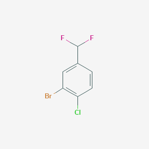 molecular formula C7H4BrClF2 B3046624 2-溴-1-氯-4-(二氟甲基)苯 CAS No. 1261495-96-8
