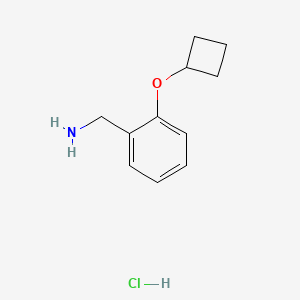 molecular formula C11H16ClNO B3046872 （2-环丁氧基苯基）甲胺盐酸盐 CAS No. 1315365-15-1