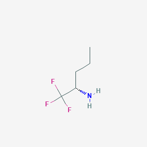 molecular formula C5H10F3N B3047005 (S)-1,1,1-三氟-2-戊胺 CAS No. 1335661-17-0