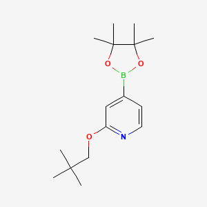 molecular formula C16H26BNO3 B3047062 2-(新戊氧基)-4-(4,4,5,5-四甲基-1,3,2-二氧杂硼环-2-基)吡啶 CAS No. 1346707-94-5