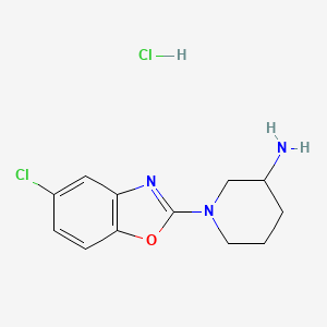 molecular formula C12H15Cl2N3O B3047671 1-(5-Chloro-1,3-benzoxazol-2-YL)piperidin-3-amine hydrochloride CAS No. 1431962-82-1