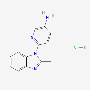 molecular formula C13H13ClN4 B3047682 6-(2-Methyl-1H-benzimidazol-1-yl)pyridin-3-amine hydrochloride CAS No. 1431963-77-7