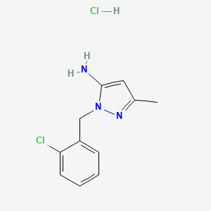 molecular formula C11H13Cl2N3 B3047703 1-(2-Chlorobenzyl)-3-methyl-1H-pyrazol-5-amine hydrochloride CAS No. 1431966-66-3