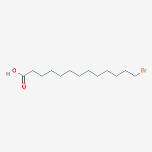 molecular formula C13H25BrO2 B3048063 13-溴十三酸 CAS No. 15462-16-5