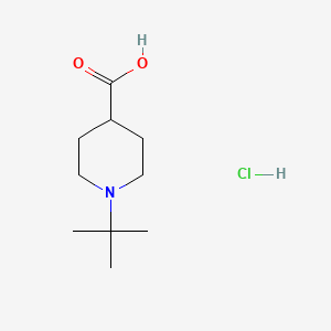 molecular formula C10H20ClNO2 B3049730 1-叔丁基哌啶-4-羧酸盐酸盐 CAS No. 2173991-95-0