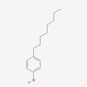 molecular formula C14H22O B030498 4-辛基酚 CAS No. 1806-26-4