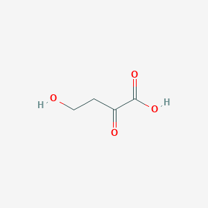 4-Hydroxy-2-oxobutanoic acid