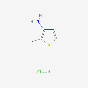 molecular formula C5H8ClNS B3050162 2-Methylthiophen-3-amine hydrochloride CAS No. 24029-98-9