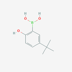 molecular formula C10H15BO3 B3050431 (5-(Tert-butyl)-2-hydroxyphenyl)boronic acid CAS No. 259209-27-3