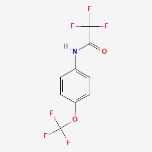 molecular formula C9H5F6NO2 B3051011 2,2,2-trifluoro-N-[4-(trifluoromethoxy)phenyl]acetamide CAS No. 304668-18-6