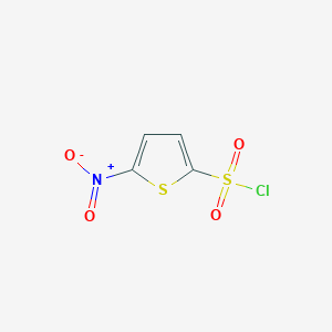 molecular formula C4H2ClNO4S2 B3051786 5-硝基噻吩-2-磺酰氯 CAS No. 36035-01-5