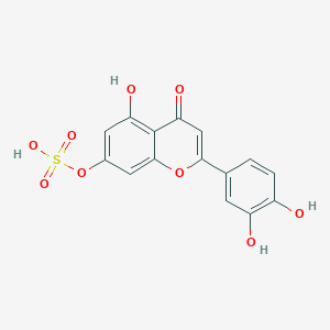 molecular formula C15H10O9S B3053893 木犀草素 7-硫酸盐 CAS No. 56857-57-9