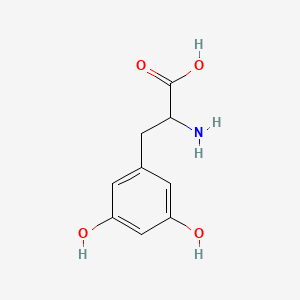 molecular formula C9H11NO4 B3054176 2-Amino-3-(3,5-dihydroxyphenyl)propanoic acid CAS No. 587-62-2