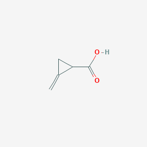 molecular formula C5H6O2 B3054883 2-Methylidenecyclopropane-1-carboxylic acid CAS No. 62266-36-8