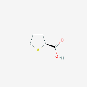 (2S)-thiolane-2-carboxylic acid