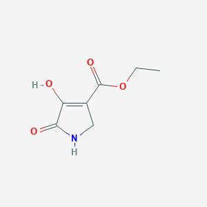 molecular formula C7H9NO4 B3057170 4-羟基-5-氧代-2,5-二氢-1H-吡咯-3-羧酸乙酯 CAS No. 772317-09-6