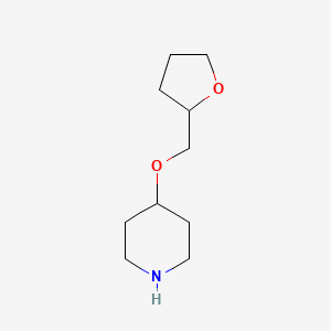 molecular formula C10H19NO2 B3058194 4-(Oxolan-2-ylmethoxy)piperidine CAS No. 883537-64-2