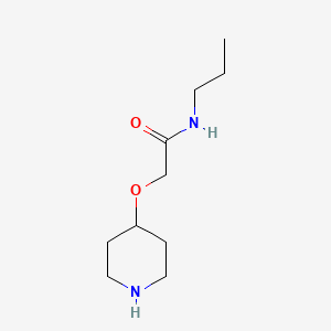 molecular formula C10H20N2O2 B3058584 2-(4-Piperidinyloxy)-N-propylacetamide CAS No. 902836-22-0