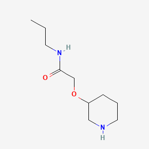 molecular formula C10H20N2O2 B3058585 2-(Piperidin-3-yloxy)-N-propylacetamide CAS No. 902837-33-6