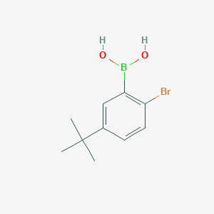 molecular formula C10H14BBrO2 B3058769 Boronic acid, B-[2-bromo-5-(1,1-dimethylethyl)phenyl]- CAS No. 916747-52-9
