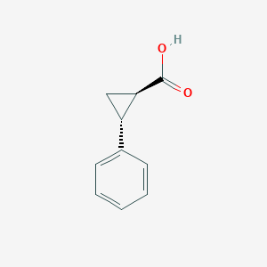 molecular formula C10H10O2 B030588 trans-2-Phenylcyclopropanecarboxylic acid CAS No. 939-90-2