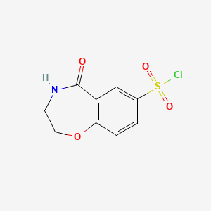 5-Oxo-2,3,4,5-tetrahydro-1,4-benzoxazepine-7-sulfonyl chloride