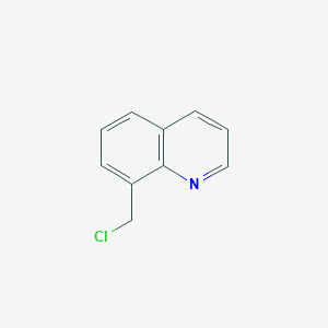 molecular formula C10H8ClN B3059077 8-(氯甲基)喹啉 CAS No. 94127-04-5