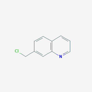 molecular formula C10H8ClN B3059318 7-(Chloromethyl)quinoline CAS No. 97850-40-3