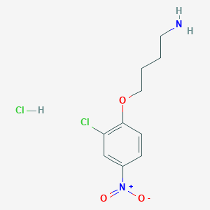 molecular formula C10H14Cl2N2O3 B3059475 4-(2-Chloro-4-nitrophenoxy)-butylamine hydrochloride CAS No. 25313-22-8