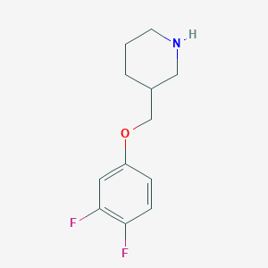 3-[(3,4-Difluorophenoxy)methyl]piperidine
