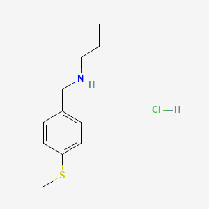 molecular formula C11H18ClNS B3059640 N-[4-(甲硫基)苄基]-1-丙胺盐酸盐 CAS No. 1049773-86-5