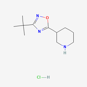 molecular formula C11H20ClN3O B3059875 3-(3-tert-Butyl-1,2,4-oxadiazol-5-yl)piperidine hydrochloride CAS No. 1385696-36-5