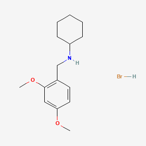 molecular formula C15H24BrNO2 B3059992 N-(2,4-dimethoxybenzyl)cyclohexanamine hydrobromide CAS No. 1609396-03-3