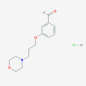 3-[3-(4-Morpholinyl)propoxy]benzaldehyde hydrochloride