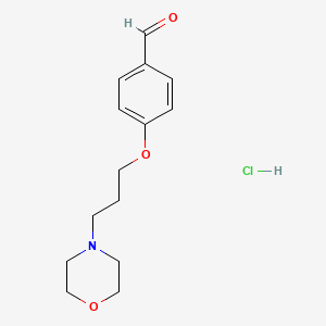 4-[3-(4-Morpholinyl)propoxy]benzaldehyde hydrochloride