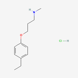 molecular formula C12H20ClNO B3060037 [3-(4-Ethylphenoxy)propyl]methylamine hydrochloride CAS No. 1609402-98-3