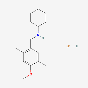 molecular formula C16H26BrNO B3060071 N-(4-methoxy-2,5-dimethylbenzyl)cyclohexanamine hydrobromide CAS No. 1609407-38-6