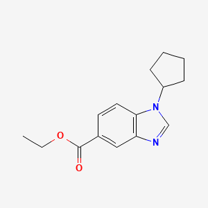 molecular formula C15H18N2O2 B3060161 1-环戊基-1H-苯并[d]咪唑-5-羧酸乙酯 CAS No. 1845690-60-9